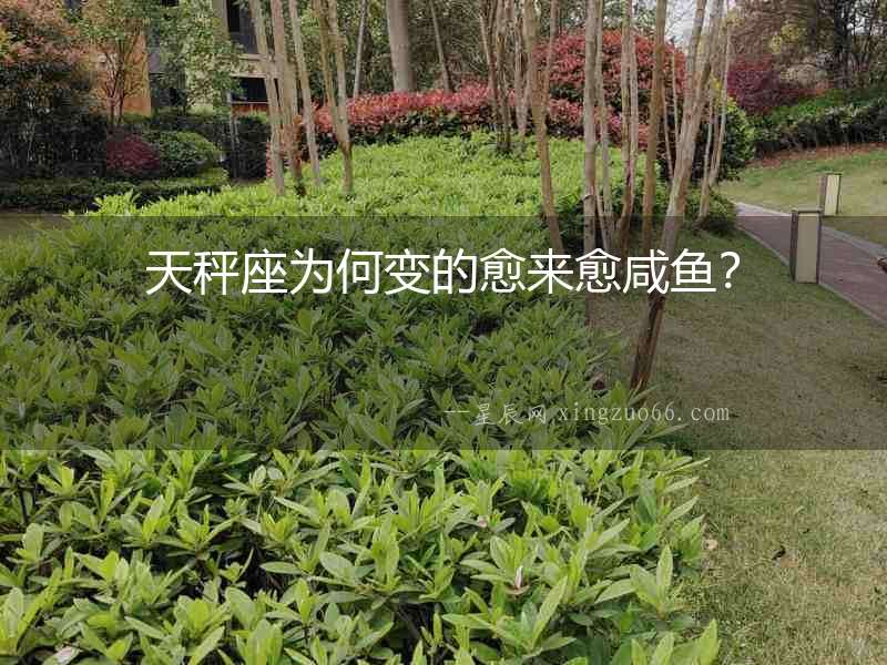 天秤座為何變的愈來愈咸魚？