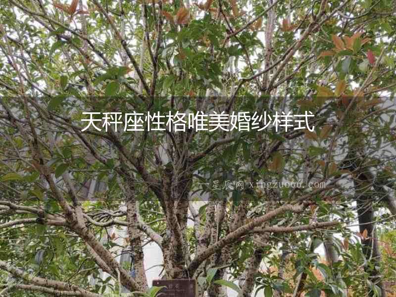 天秤座性格唯美婚紗樣式