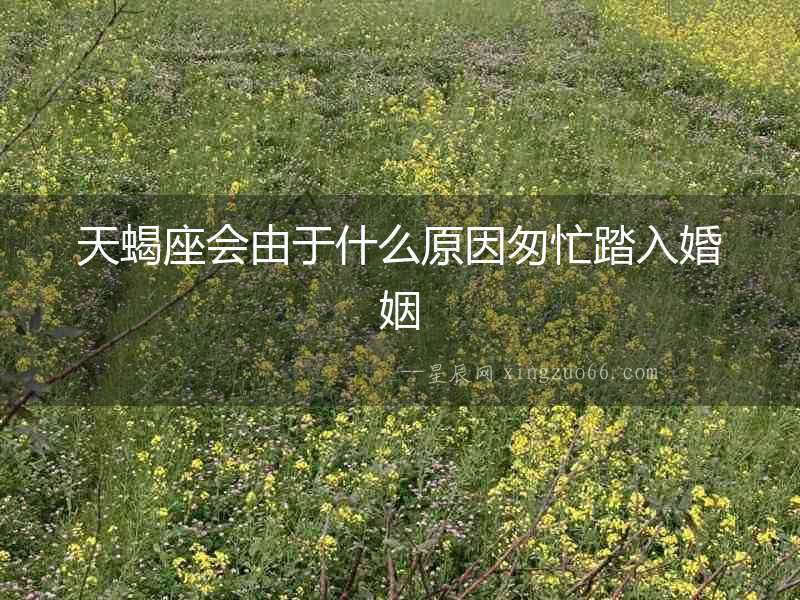 天蝎座會由于什么原因匆忙踏入婚姻