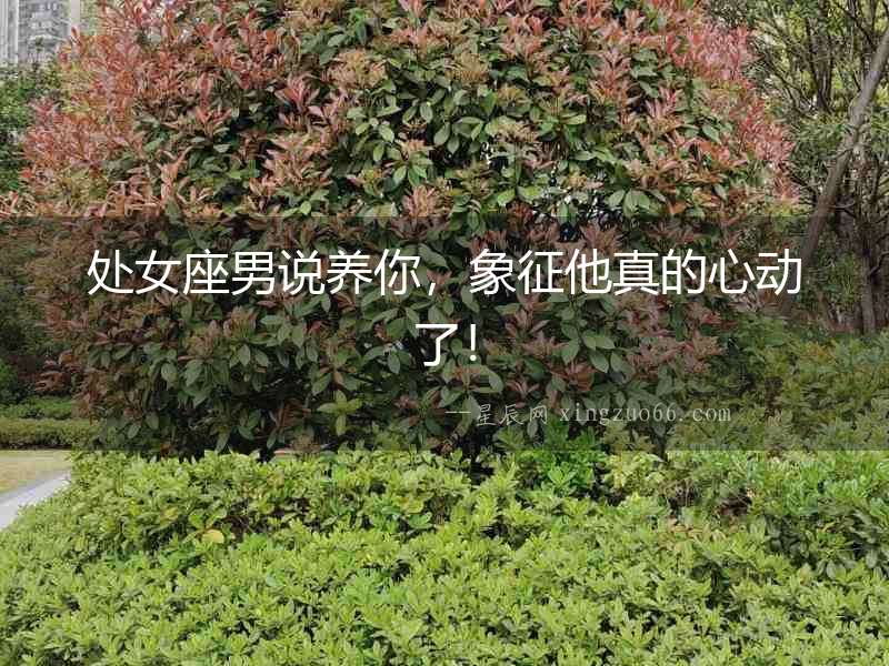 處女座男說養你，象征他真的心動了！