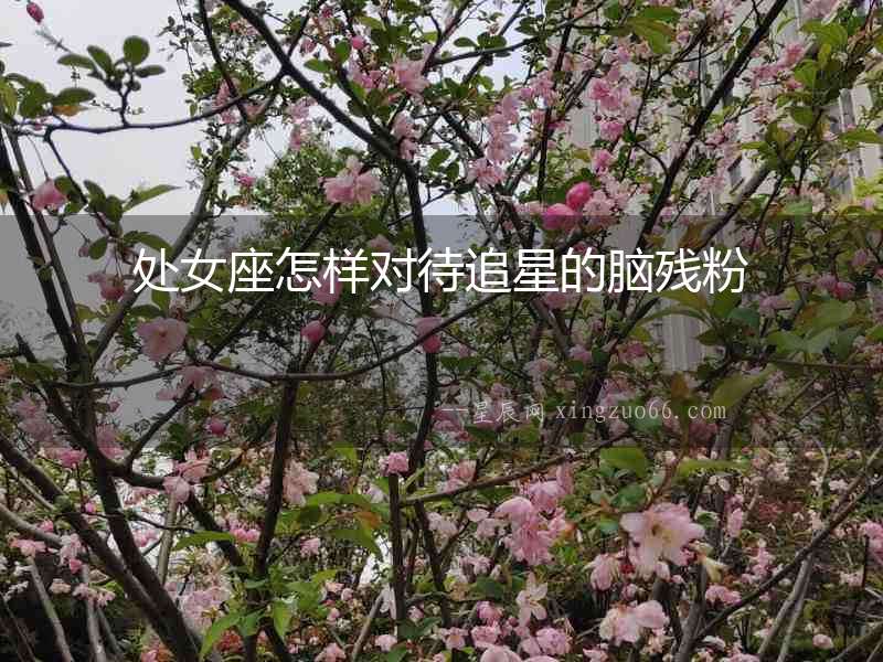 處女座怎樣對待追星的腦殘粉