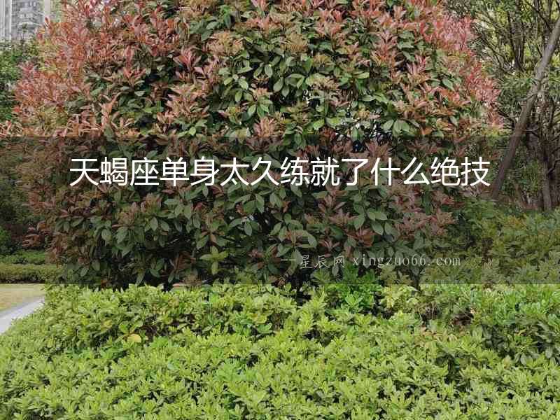 天蝎座單身太久練就了什么絕技
