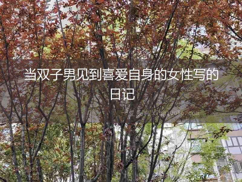 當雙子男見到喜愛自身的女性寫的日記