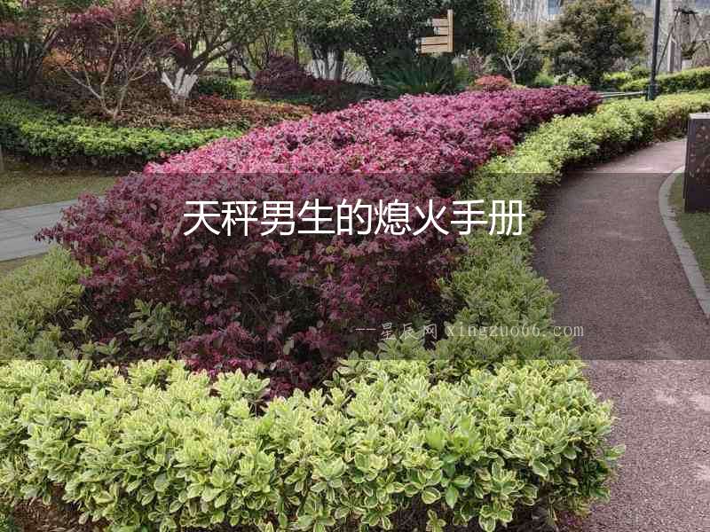 天秤男生的熄火手冊