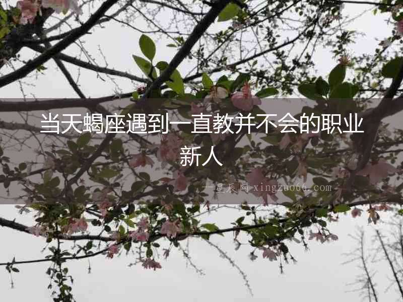 當(dāng)天蝎座遇到一直教并不會的職業(yè)新人