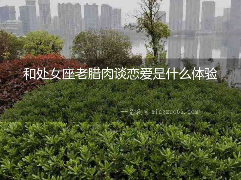 和處女座老臘肉談戀愛是什么體驗