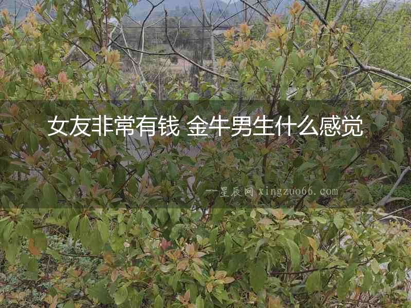 女友非常有錢 金牛男生什么感覺