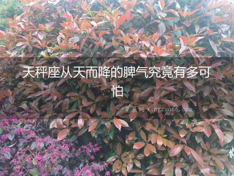 天秤座從天而降的脾氣究竟有多可怕