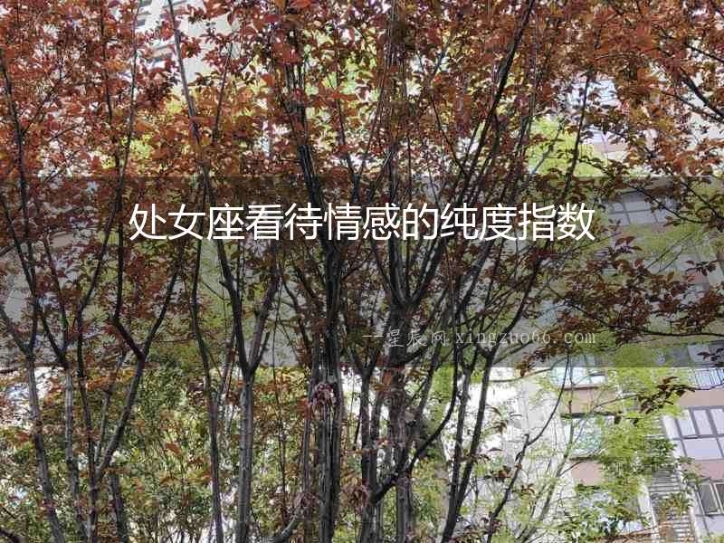 處女座看待情感的純度指數(shù)
