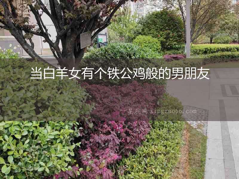 當(dāng)白羊女有個鐵公雞般的男朋友