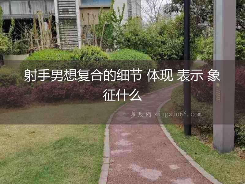 射手男想復合的細節 體現 表示 象征什么