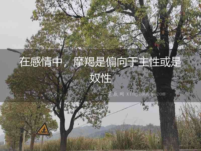 在感情中，摩羯是偏向于主性或是奴性