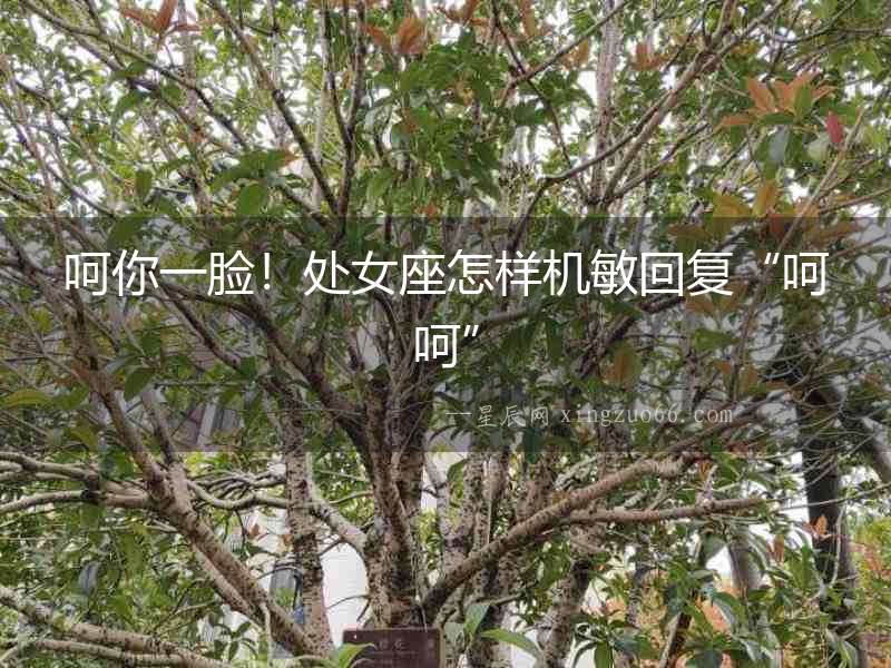 呵你一臉！處女座怎樣機敏回復“呵呵”