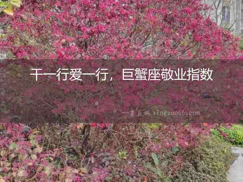 干一行愛一行，巨蟹座敬業(yè)指數