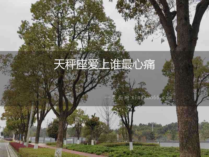 天秤座愛上誰最心痛