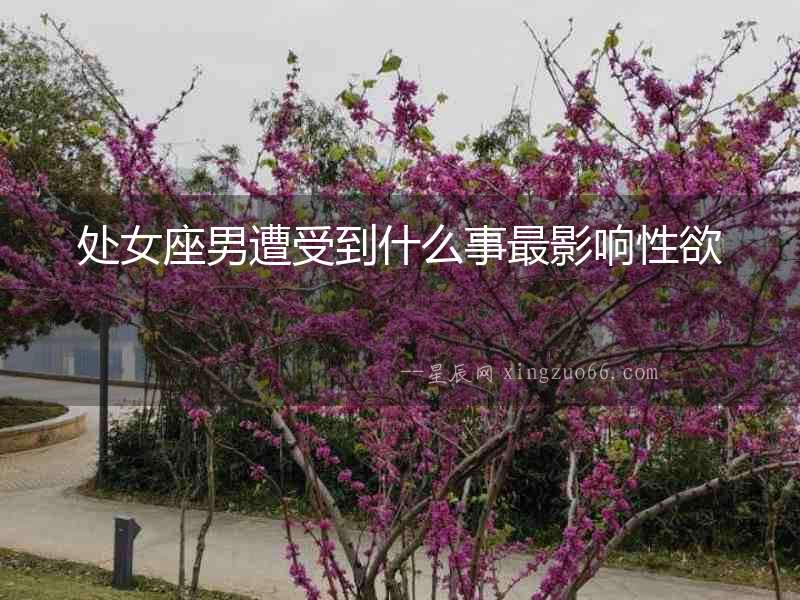 處女座男遭受到什么事最影響性欲