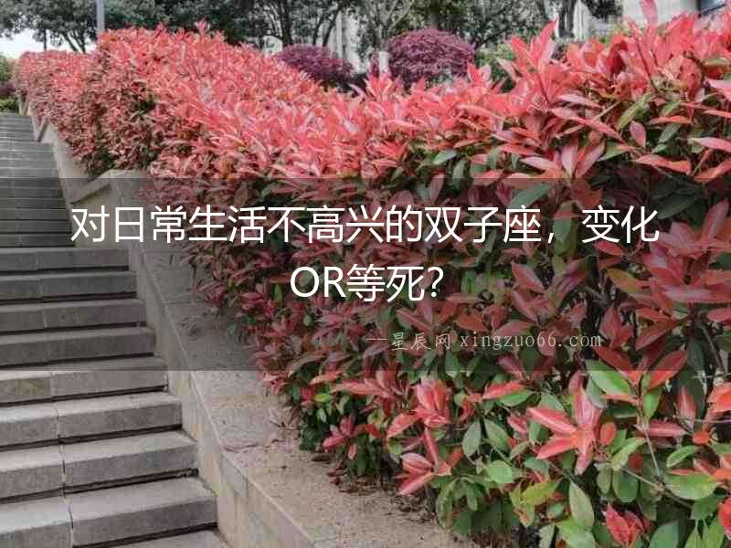 對(duì)日常生活不高興的雙子座，變化OR等死？
