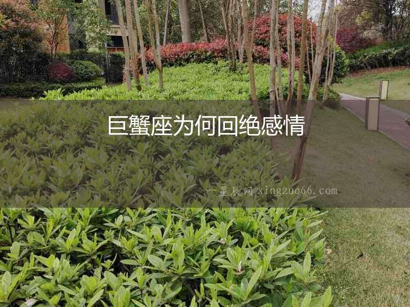 巨蟹座為何回絕感情