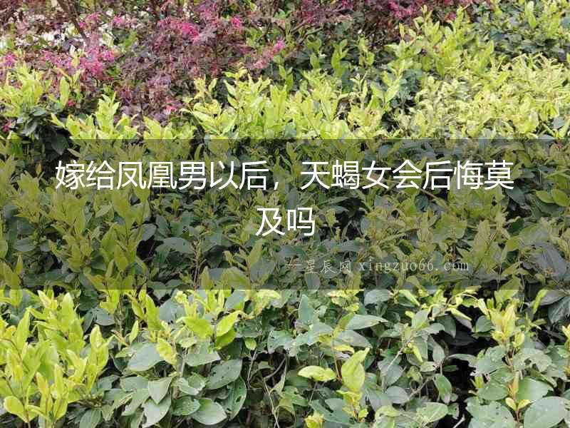 嫁給鳳凰男以后，天蝎女會后悔莫及嗎