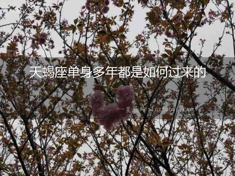 天蝎座單身多年都是如何過來的