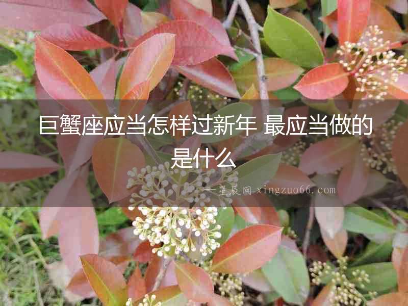 巨蟹座應(yīng)當(dāng)怎樣過(guò)新年 最應(yīng)當(dāng)做的是什么
