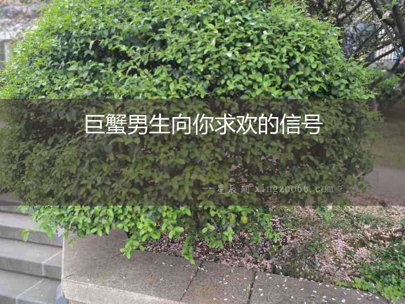 巨蟹男生向你求歡的信號