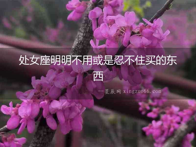 處女座明明不用或是忍不住買的東西