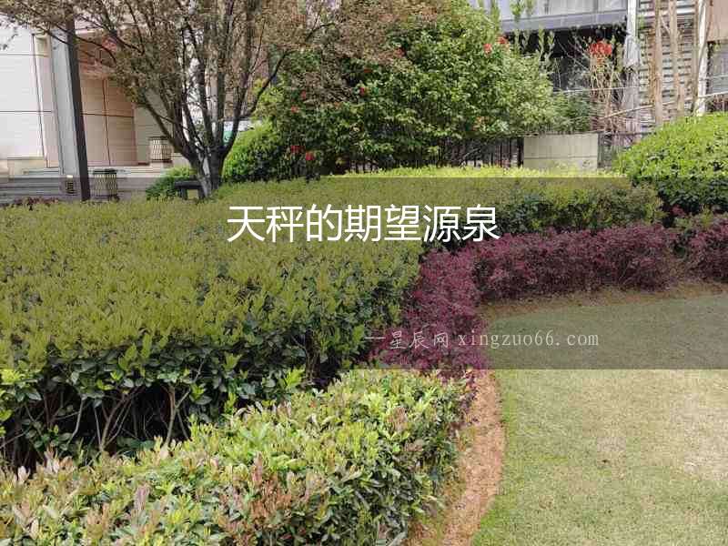 天秤的期望源泉