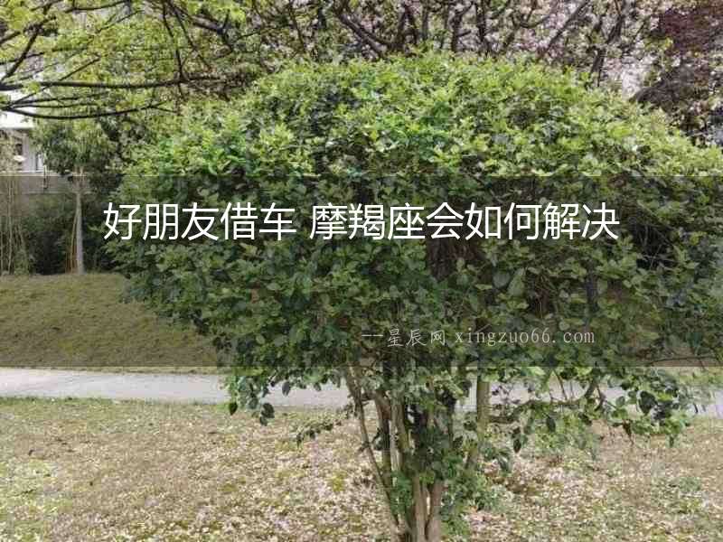好朋友借車 摩羯座會如何解決