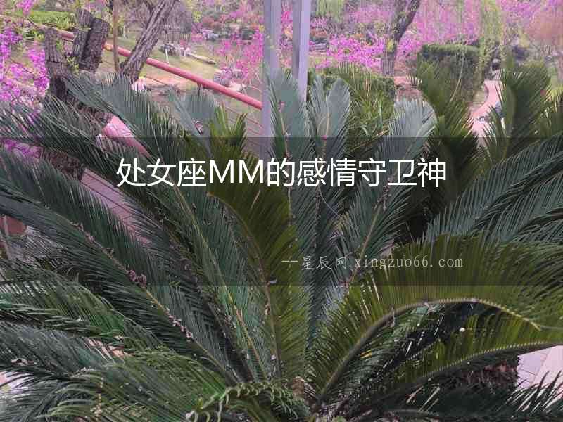 處女座MM的感情守衛神