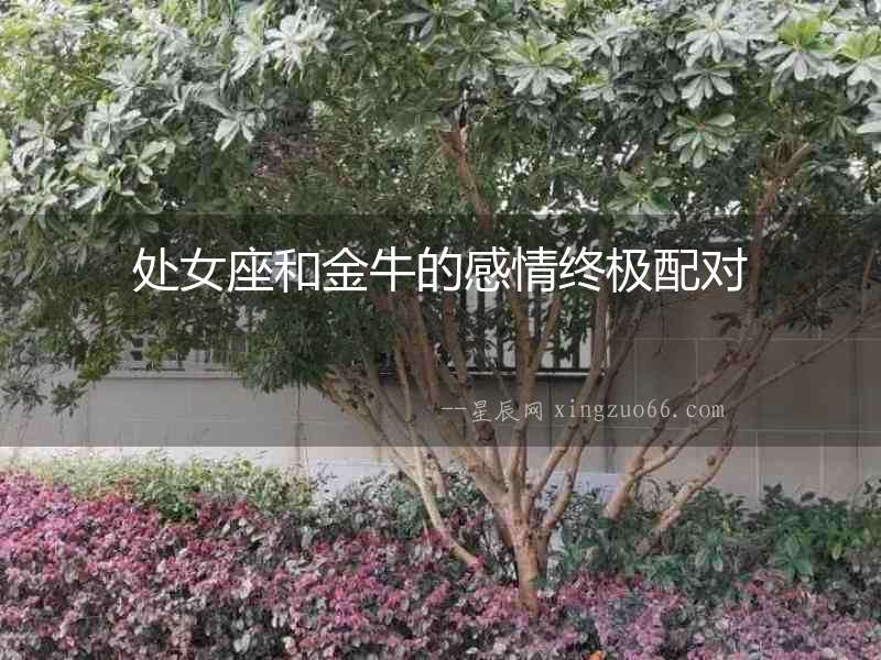 處女座和金牛的感情終極配對(duì)