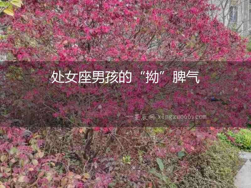 處女座男孩的“拗”脾氣