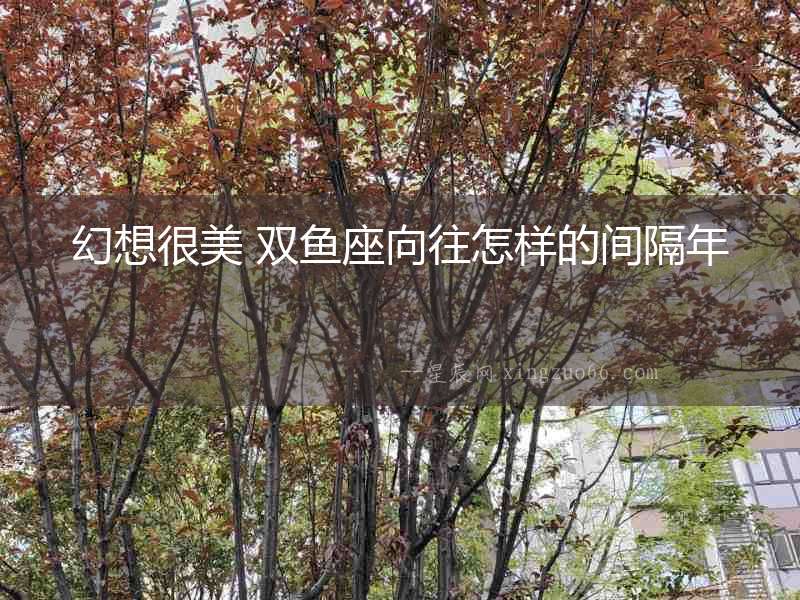 幻想很美 雙魚座向往怎樣的間隔年