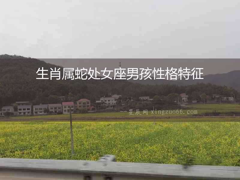 生肖屬蛇處女座男孩性格特征