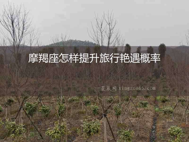 摩羯座怎樣提升旅行艷遇概率