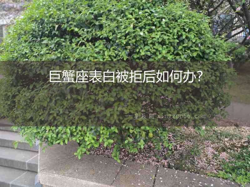 巨蟹座表白被拒后如何辦？