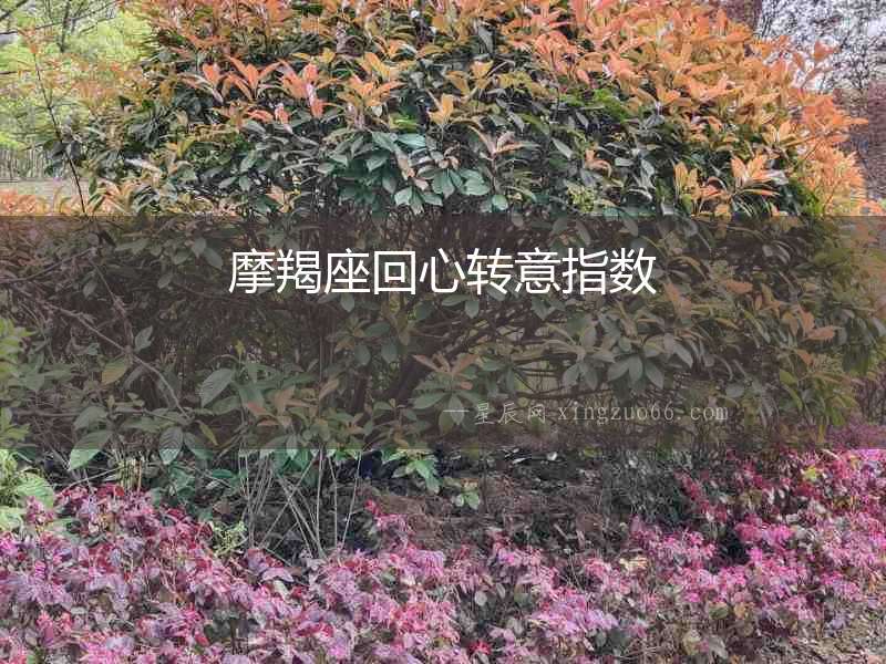 摩羯座回心轉意指數