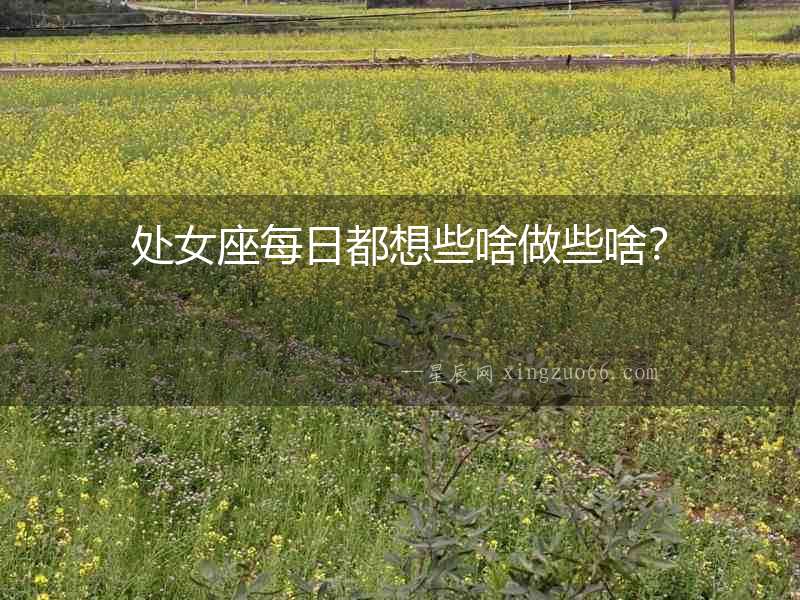 處女座每日都想些啥做些啥？