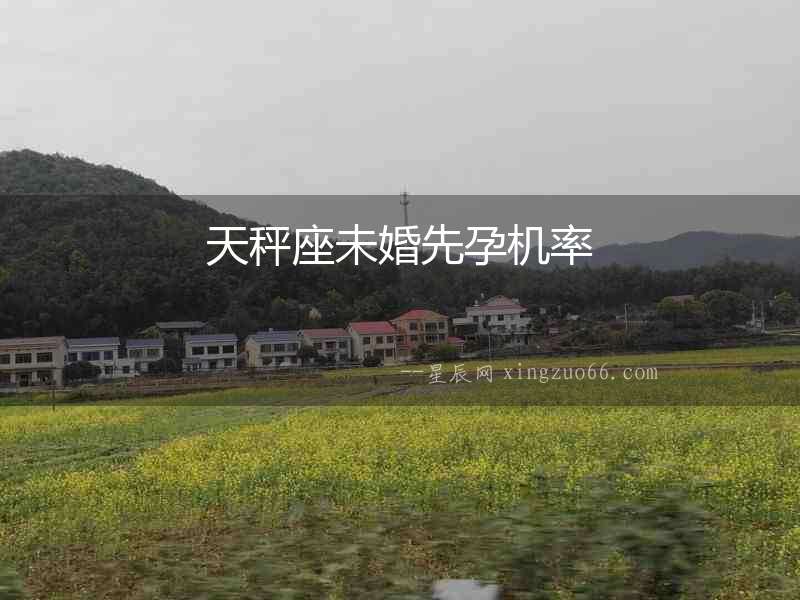 天秤座未婚先孕機率