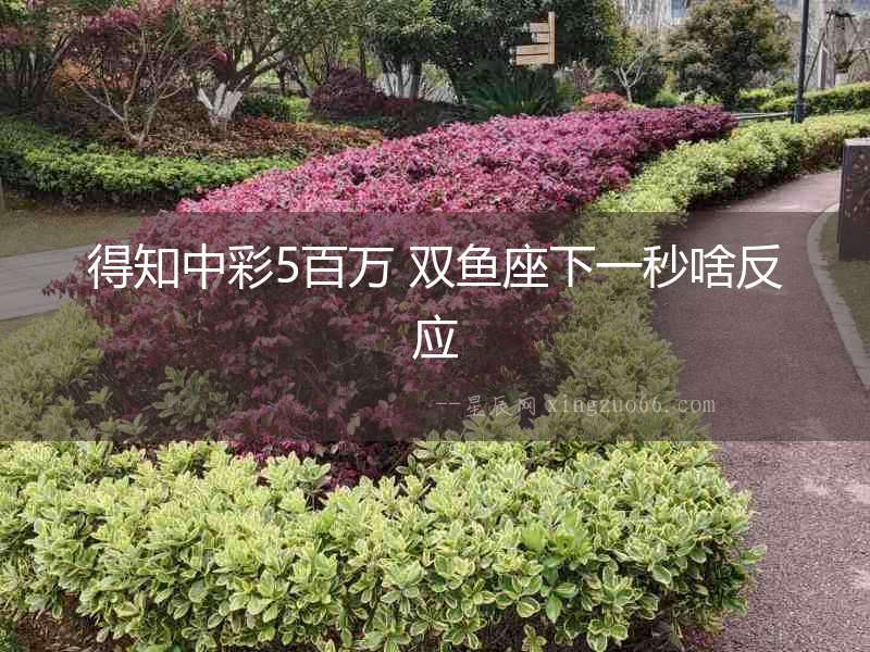 得知中彩5百萬 雙魚座下一秒啥反應(yīng)