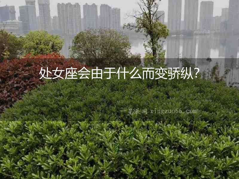 處女座會由于什么而變驕縱？