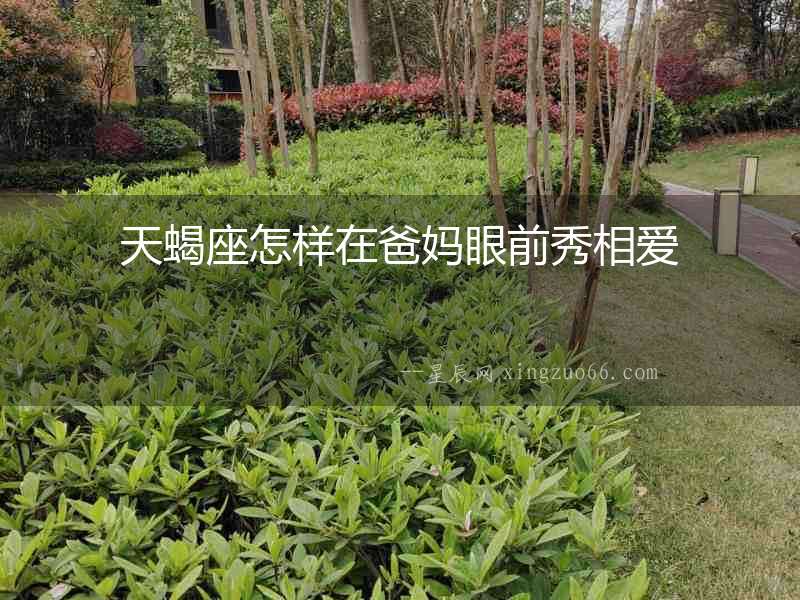 天蝎座怎樣在爸媽眼前秀相愛(ài)
