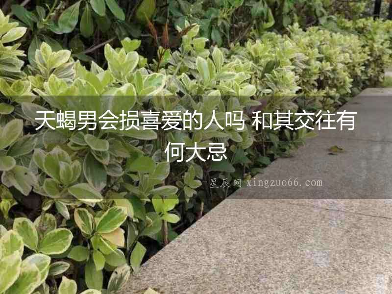 天蝎男會損喜愛的人嗎 和其交往有何大忌