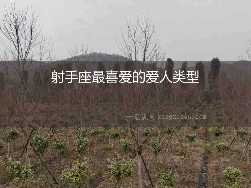 射手座最喜愛的愛人類型