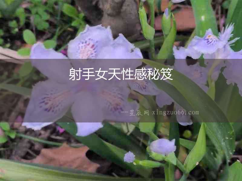 射手女天性感秘笈