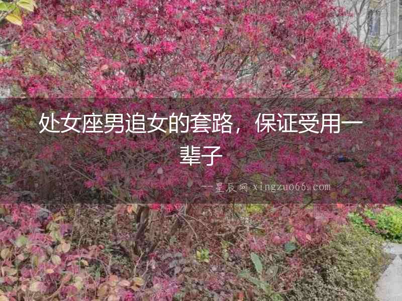處女座男追女的套路，保證受用一輩子