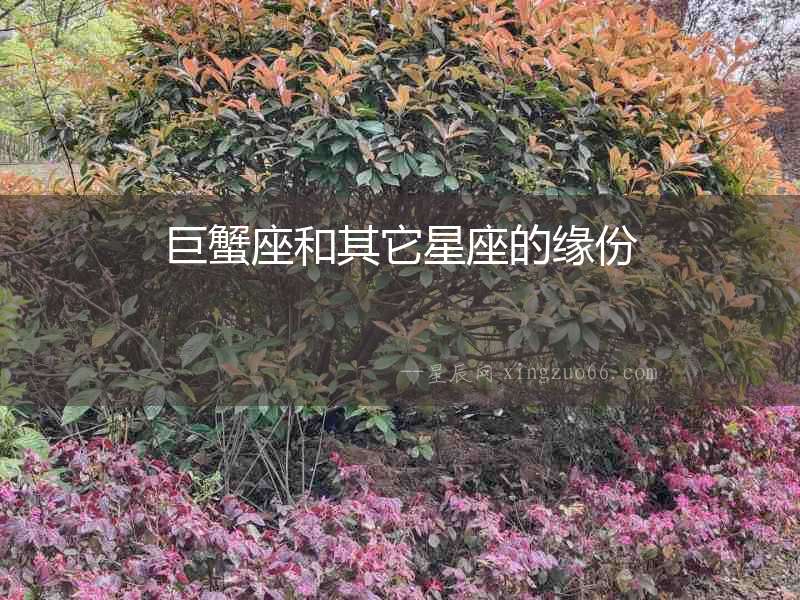 巨蟹座和其它星座的緣份