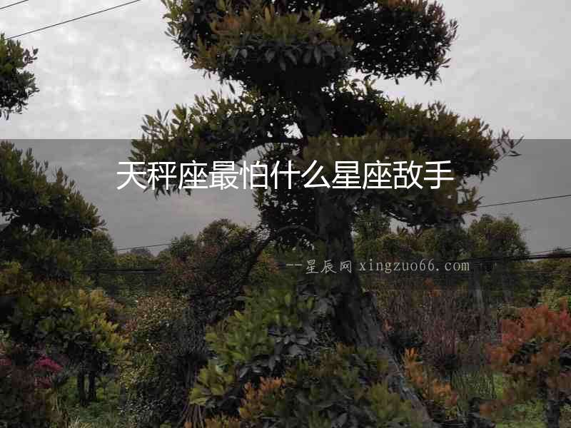 天秤座最怕什么星座敵手