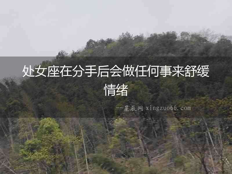 處女座在分手后會做任何事來舒緩情緒