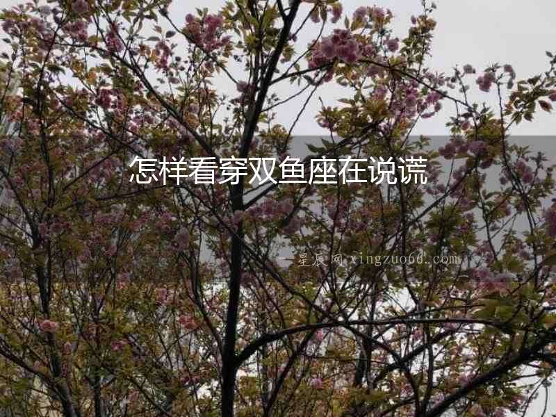 怎樣看穿雙魚座在說謊